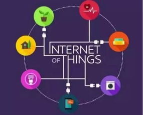 全球物聯(lián)網(wǎng)市場(chǎng)蓬勃發(fā)展，中國(guó)引領(lǐng)創(chuàng)新與實(shí)踐浪潮